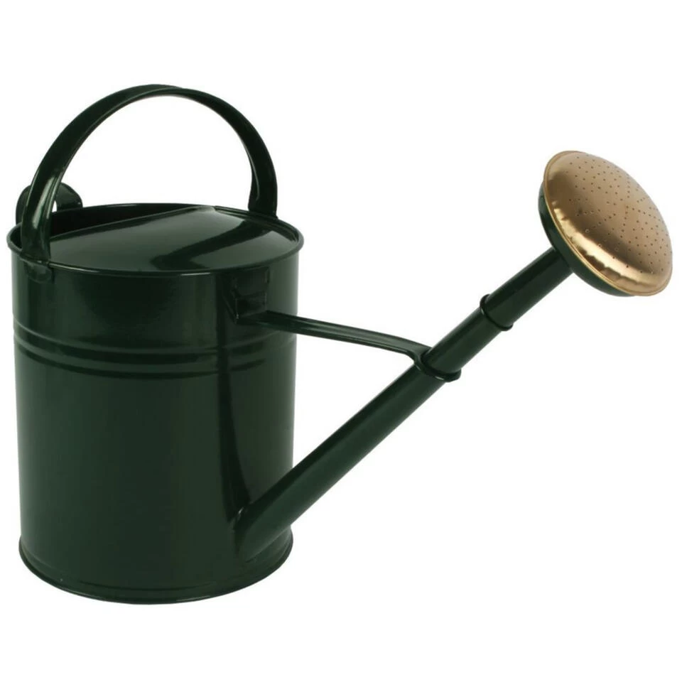 Talen Tools Gieter - Groen - Goudkleurige Broeskop - Metaal - 10 L 3 Talen Tools Gieter - Groen - Goudkleurige Broeskop - Metaal - 10 L