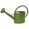 Decoris Gieter - Groen - Zink - 5 L 1 Decoris Gieter - Groen - Zink - 5 L -GroenThuis Voordeel 1000014611