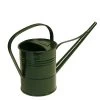 Gieter - Groen - Metaal - 1500 Ml 1 Gieter - Groen - Metaal - 1500 Ml -GroenThuis Voordeel 1000079484