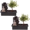 Bonsai Boompje Met Easy-care Watersysteem - Set Van 2 - Buddha - Hoogte 25-35cm