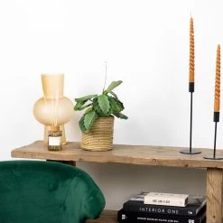 Maranta Silverband – Gebedsplant – ⌀12cm –↕10-15cm -GroenThuis Voordeel 1000088700 0103