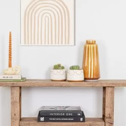 2x Succulenten Mix In Pot – Succulenten – ⌀8,5cm - ↕15-20 Cm -GroenThuis Voordeel 1000095892 0103