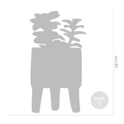 4x Succulenten Mix Pot – Succulenten – ⌀6 Cm - ↕10-15 Cm -GroenThuis Voordeel 1000095894 0102