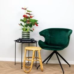 Anthurium Aristo Rood – Flamingoplant - ⌀14 Cm - ↕45-55 Cm -GroenThuis Voordeel 1104020374 0103