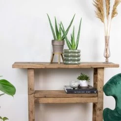 2x Aloe Vera Barbadensis - Vetplant - ⌀10,5 Cm - ↕30-35 Cm -GroenThuis Voordeel 1372455717 0103