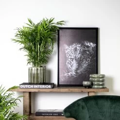 Chamaedorea - Mexicaanse Dwergpalm - ⌀17 Cm – ↕50-60 Cm -GroenThuis Voordeel 1464586363 0103