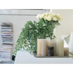 Hoya 'Krinkle' - Kamerplant In Kwekerspot ⌀10 Cm - ↕15 Cm -GroenThuis Voordeel 1585208249 0102