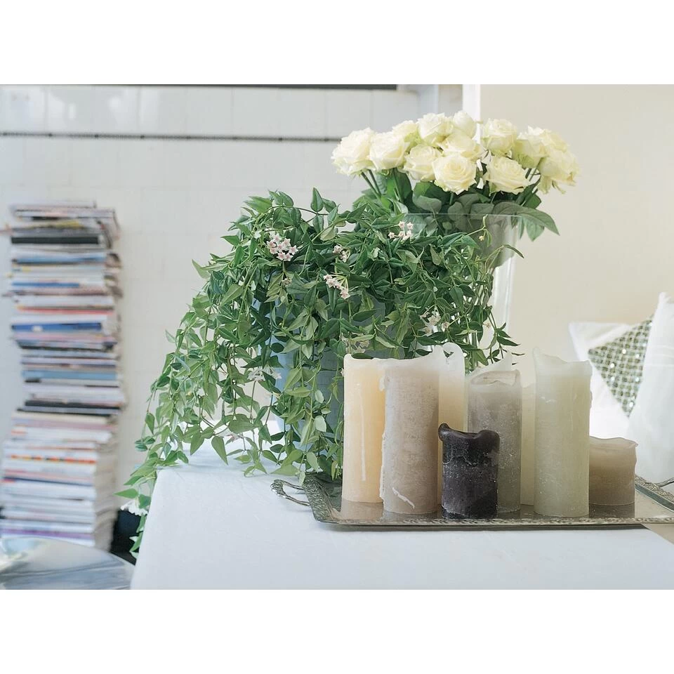 2x Hoya Krinkle P10.15 5 2x Hoya Krinkle P10.15 - Afbeelding 3