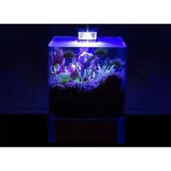 Plantenterrarium Bye Bye Fly – Vleesetende Planten – ↕23 Cm -GroenThuis Voordeel 1927342073 0102