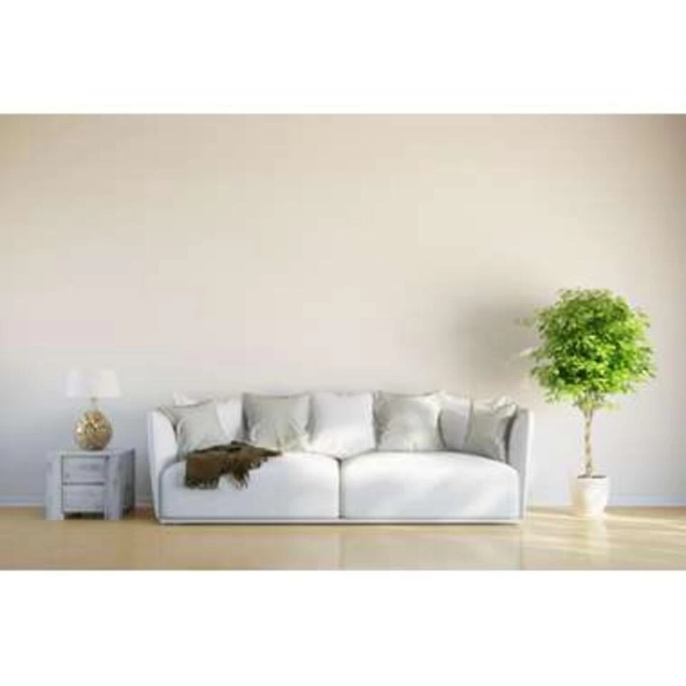 Pachira Aquatica - Geldboom - ⌀12 Cm - ↕25-35 Cm 4 Pachira Aquatica - Geldboom - ⌀12 Cm - ↕25-35 Cm - Afbeelding 2