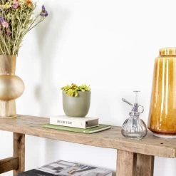 Dionaea Muscipula – Venusvliegenvanger – ⌀12 Cm – ↕10-15 Cm -GroenThuis Voordeel 1940794173 0103