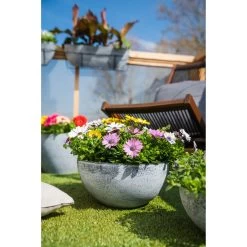 GroenThuis Voordeel 31 GroenThuis Voordeel -GroenThuis Voordeel 1e6850a206f54a3282e6ab50faed5d3f