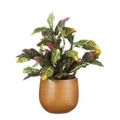 GroenThuis Voordeel 23 GroenThuis Voordeel -GroenThuis Voordeel 397cb7b7cc54479389debf8828bfb5ec