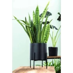 Bloempot Op Pootjes Niek - Zwart - 12/18xØ12,5 Cm -GroenThuis Voordeel sf 71124031 1010